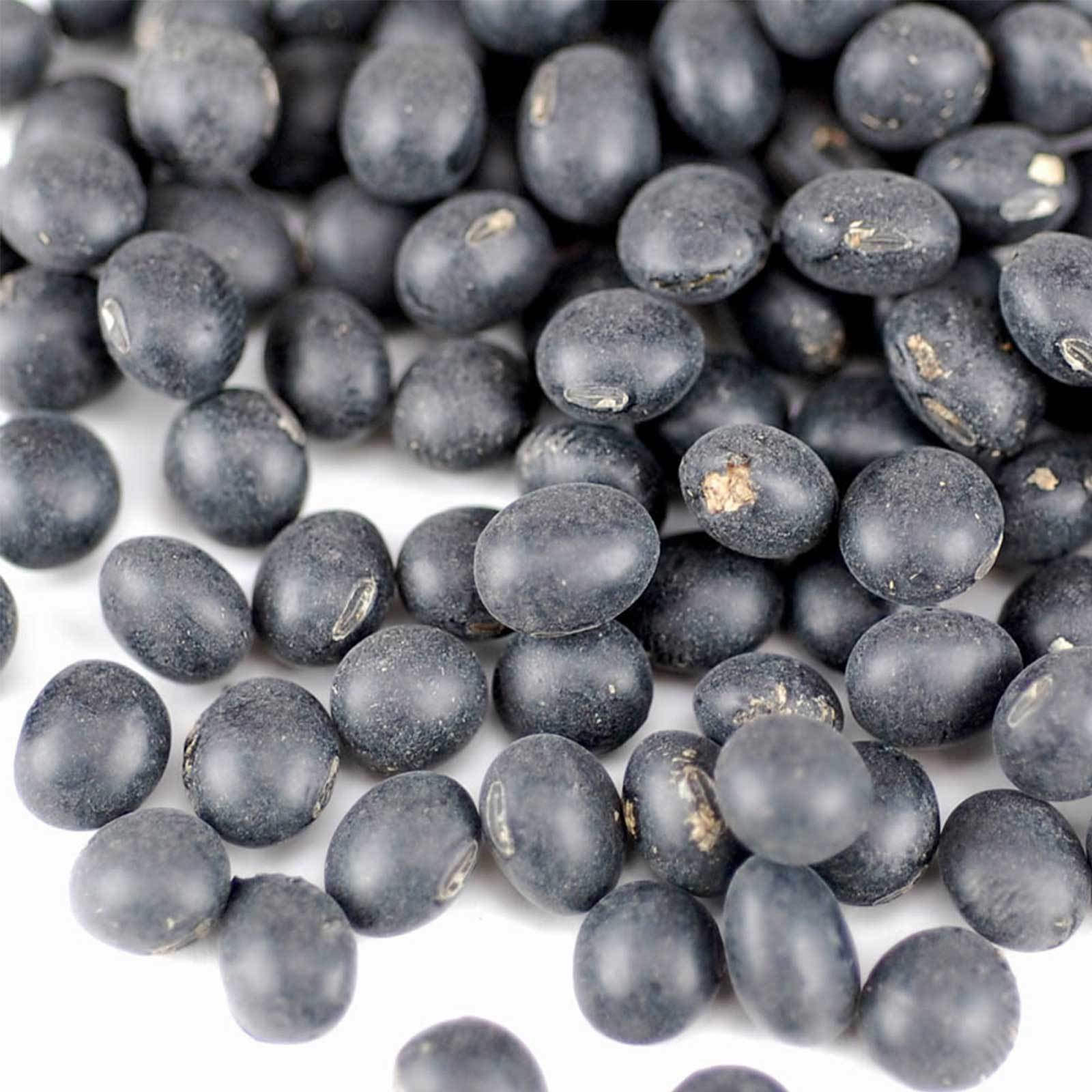 Black Soy Beans - Dried - Organic- Soybean Seeds - Sprouts, Soy Milk 2. ...