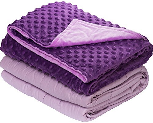 5lb Weighted Blanket with Dot Minky Cover for Kids Inner ...