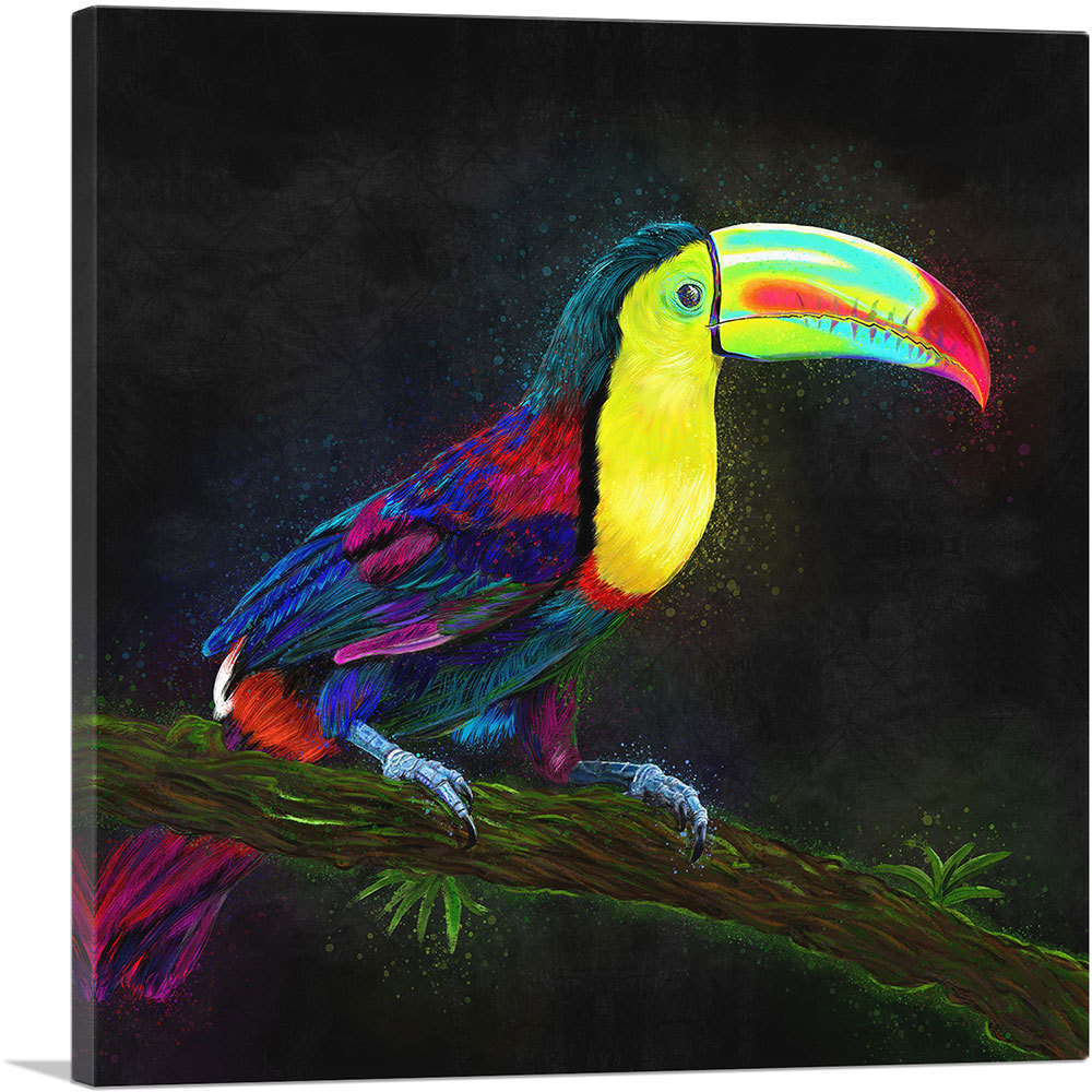 Primary image for ARTCANVAS Keel Billed Toucan Latin American Belize Bird on Branch Canvas Art Pri