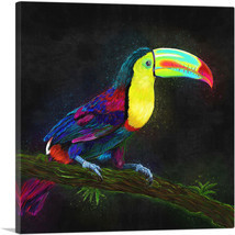 ARTCANVAS Keel Billed Toucan Latin American Belize Bird on Branch Canvas... - £34.52 GBP+