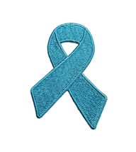 Awareness Ribbon National Recovery Embroidered Iron On Patch September Turquoise - $5.97+