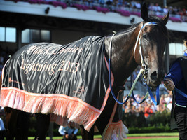 Black caviar 2013 lightning stakes 1a thumb200