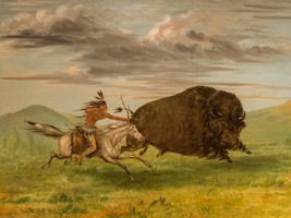 George Catlin Indian Killing Buffalo with Bow and Arrow Giclee Print Shi... - $39.00+