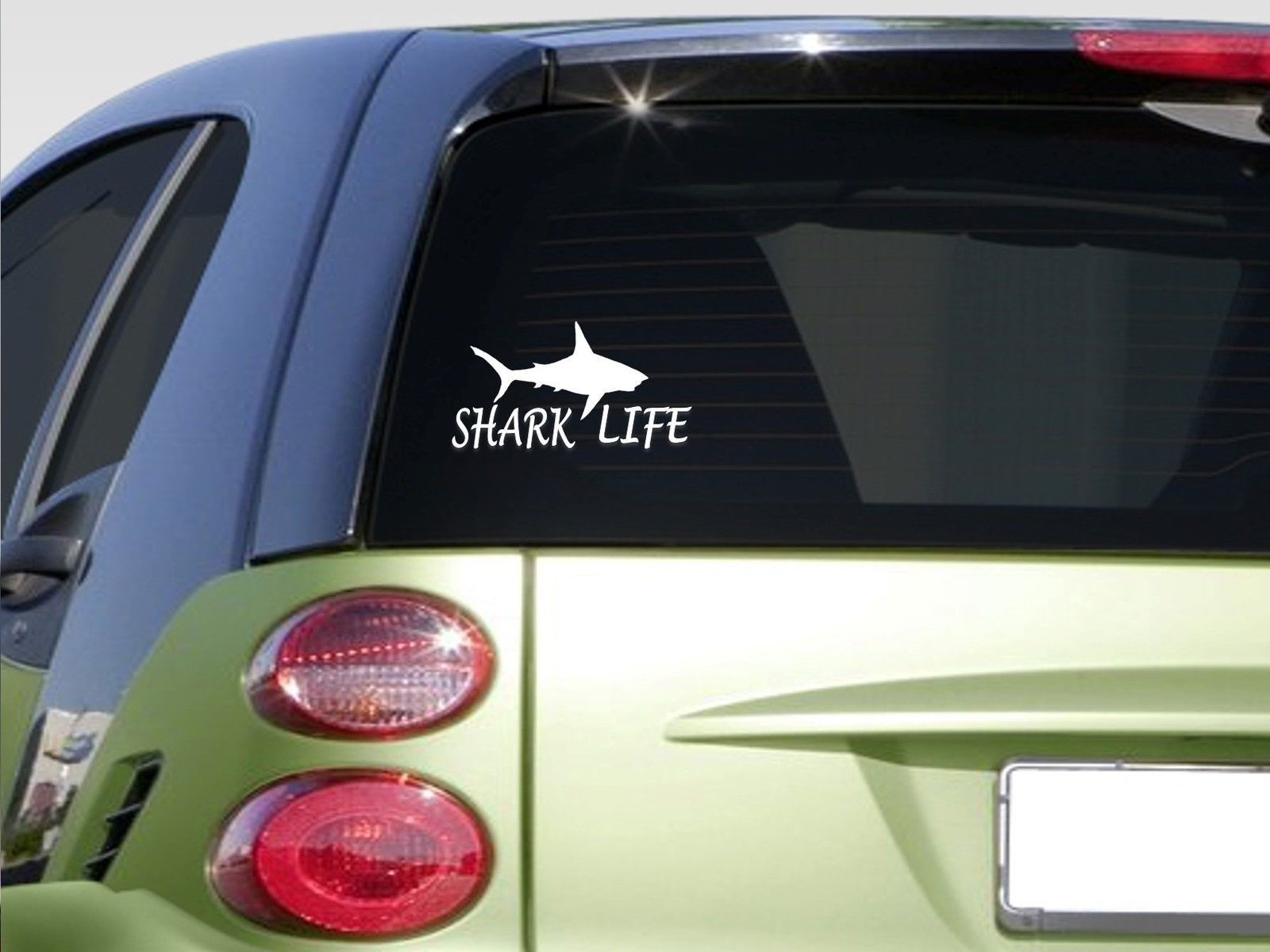 Shark Life 8 sticker *E877* marine biologist great white hammerhead mako tiger