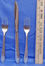 Set 3 Piece 1847 Rogers Bros Springtime Dinner Knife & 2 Salad Forks IS Silver - $18.80