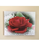 “Love&#39;s First Rose” photo 11x14 thinwrap - $95.00