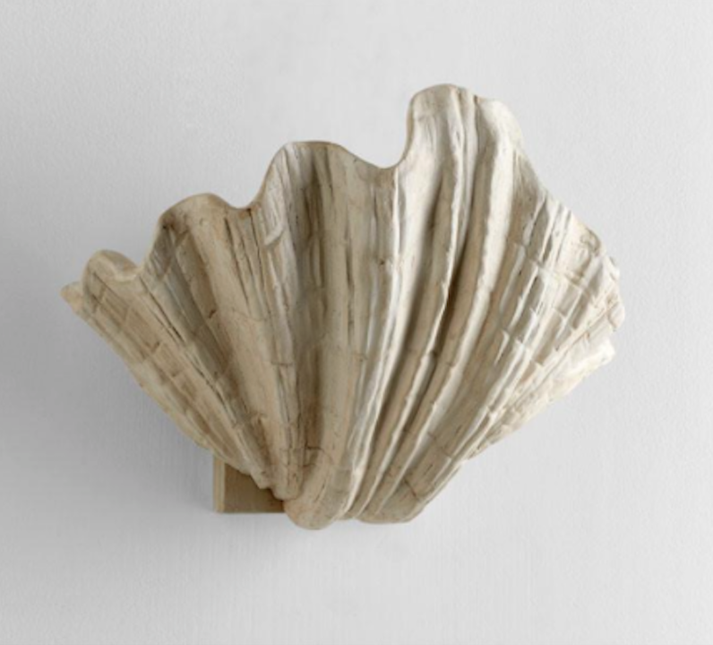 scallop shell wall light