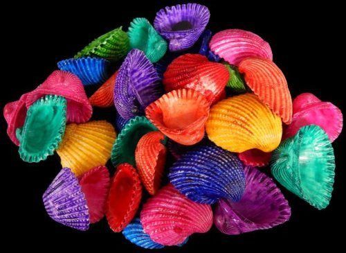 Primary image for sea shell Dyed medium white Arks nice assorted colors craft lot of 20