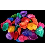 &lt;&gt;&lt;  sea shell Dyed medium white Arks  nice assorted colors craft lot of 20 - $5.85