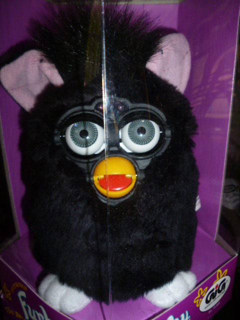 witches cat furby