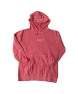 Interpol A Fine Mess Washed Pink embroidered Pullover Hoodie Sweatshirt New - $51.89