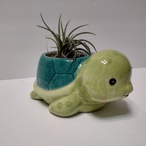 Sea Turtle Planter with Air Plant, 5" Blue Green Ceramic Tortoise Pot, Airplant image 2