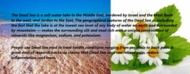 Amber Mud Masque / Dead Sea and Chamomile, 16 fl oz image 4