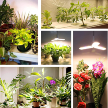 LED Plant Light - 150W - Led Grow Light Bulb Full Spectrum - E27 Fan Shape Plant image 4
