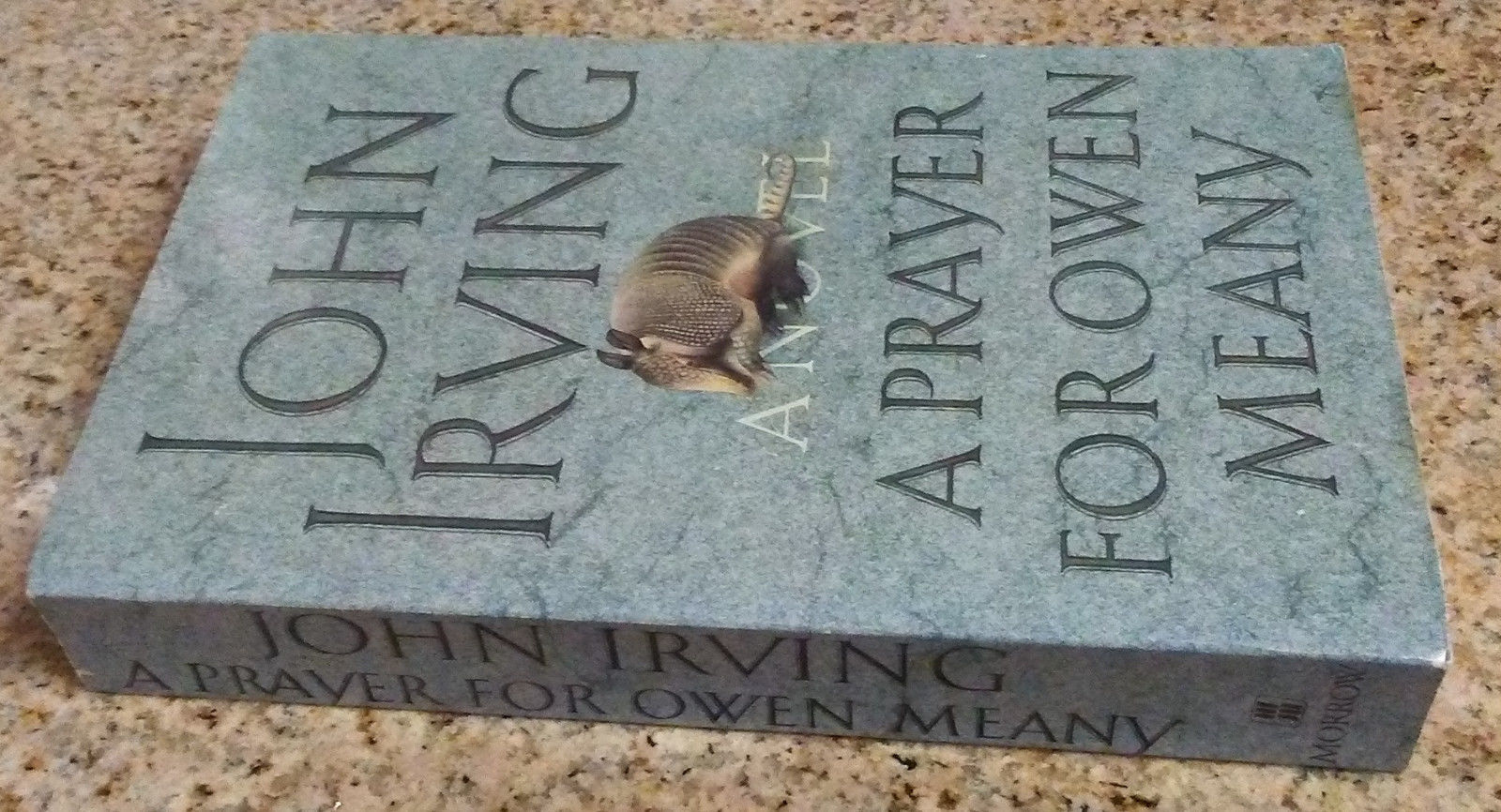 A Prayer for Owen Meany by John Irving (1989, Paperback) - Fiction