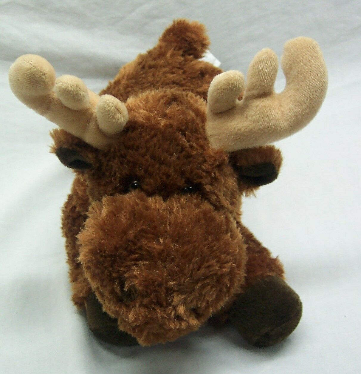 Aurora VERY SOFT BROWN MOOSE 13