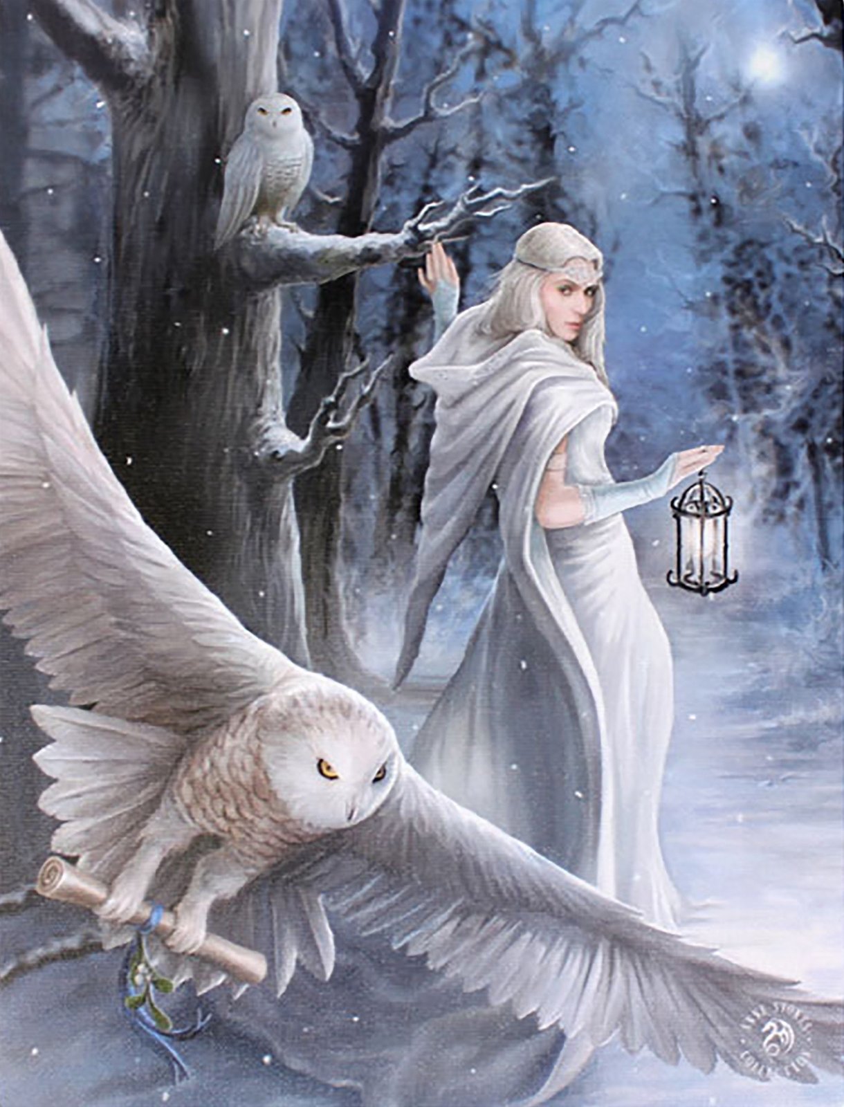 Midnight Messenger Canvas Art Print by Anne Stokes