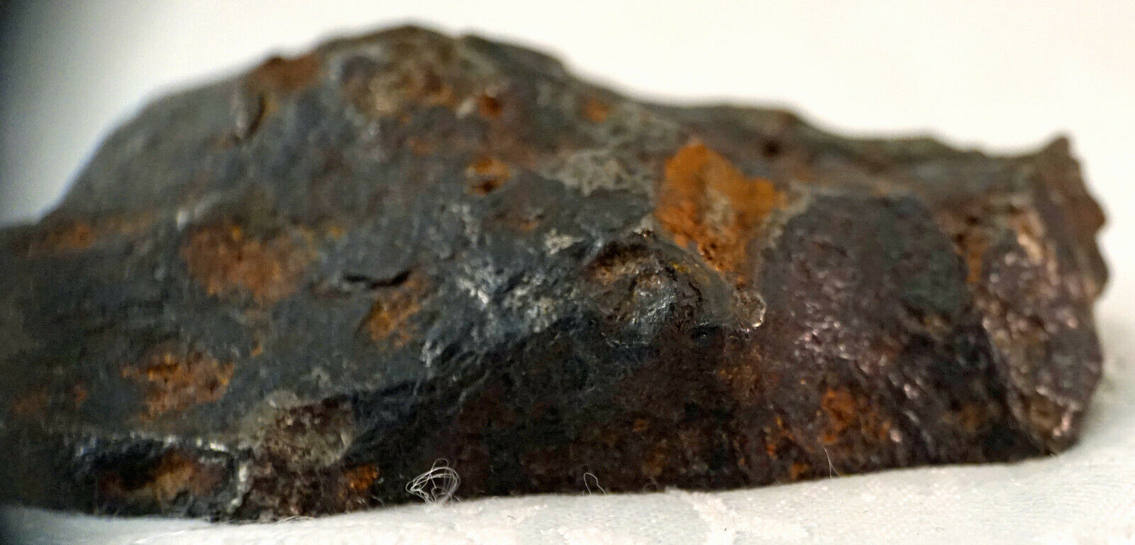 Stunning Iron Nickel Meteorite Sliced on one side 880 Grams Nice ...