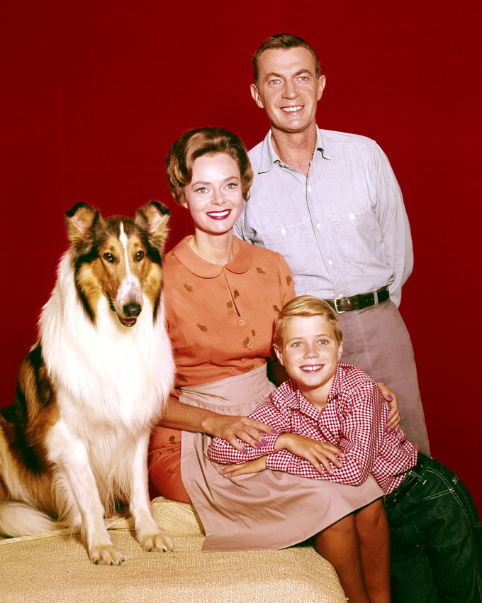 Jon Provost June Lockhart in Lassie 16x20 Canvas Giclee - Home Décor