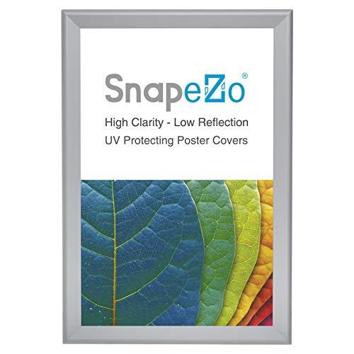 SnapeZo Poster Frame 22x28 Inches, Silver 2.2" Aluminum Profile, Front