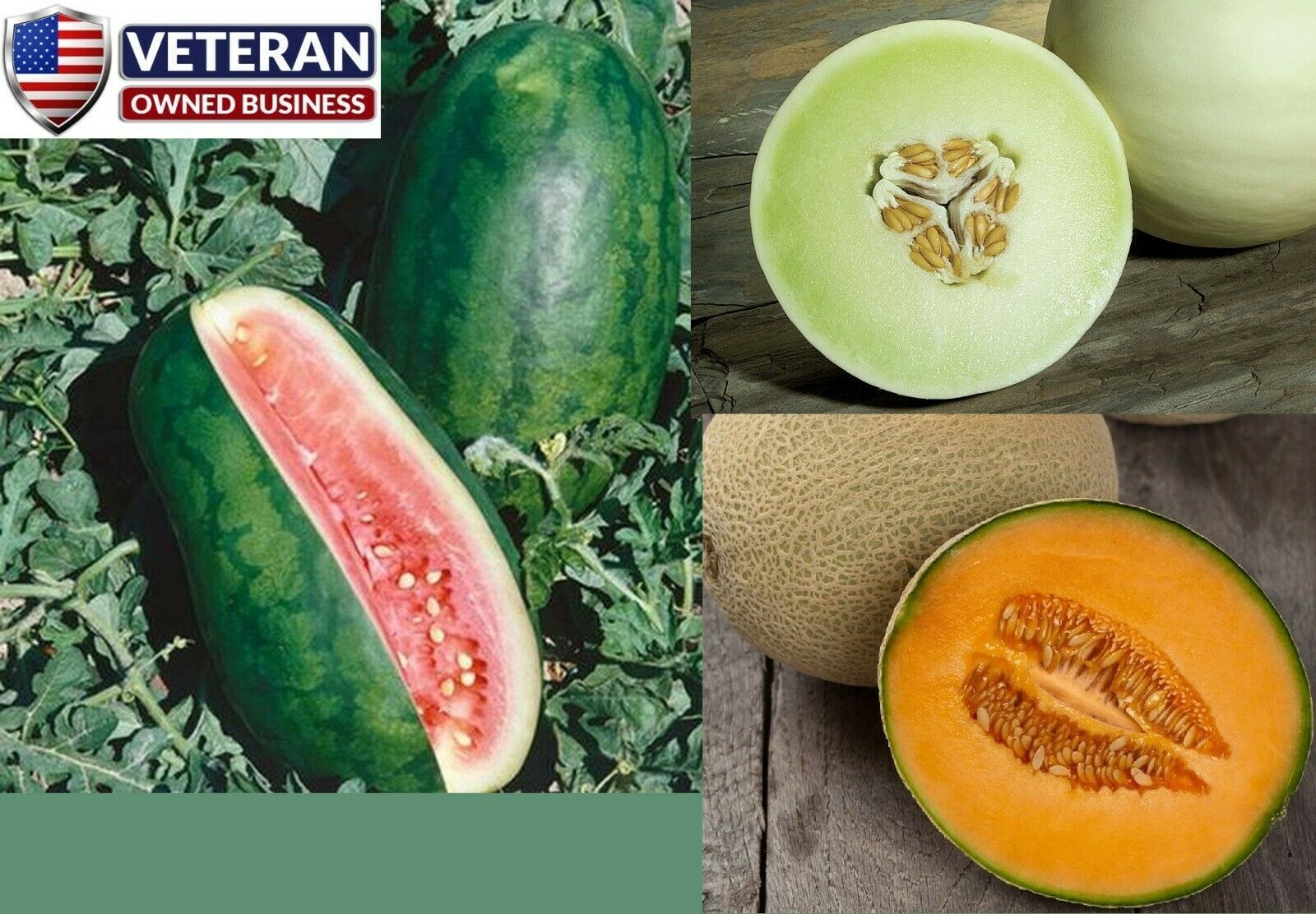 Melon seed pack watermelon cantaloupe honeydew Heirloom fruit seeds 150