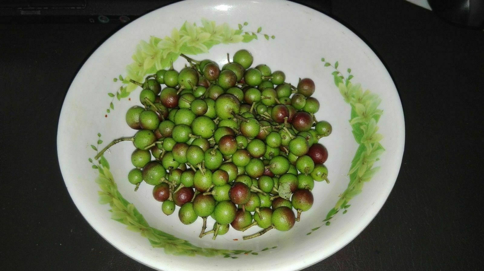 BUY 10 PCS CURRY LEAVES PLANT SEED KARI PATTA SEEDS & GET 15 SEEDS 5 SEEDS FREE Herbs