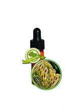 Carrot Seed Essential Oil-3.7ml (1/8oz)-High Caratol-40%- PURE Daucus Carrota - $12.73