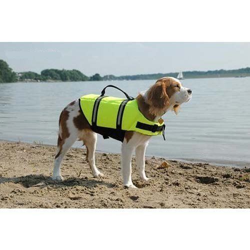SMALL DOG LIFE PRESERVER dachshund westie boston terrier DOG LIFE VEST