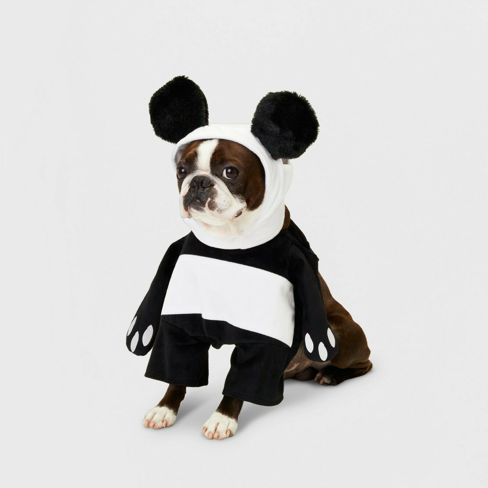 Panda Dog Frontal Costume by Hyde and Eek! Boutique Size XL - Dog Costumes