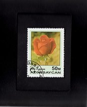 Tchotchke Stamp Art - Collectible Postage Stamp - Hybrid Red Rose - $7.79