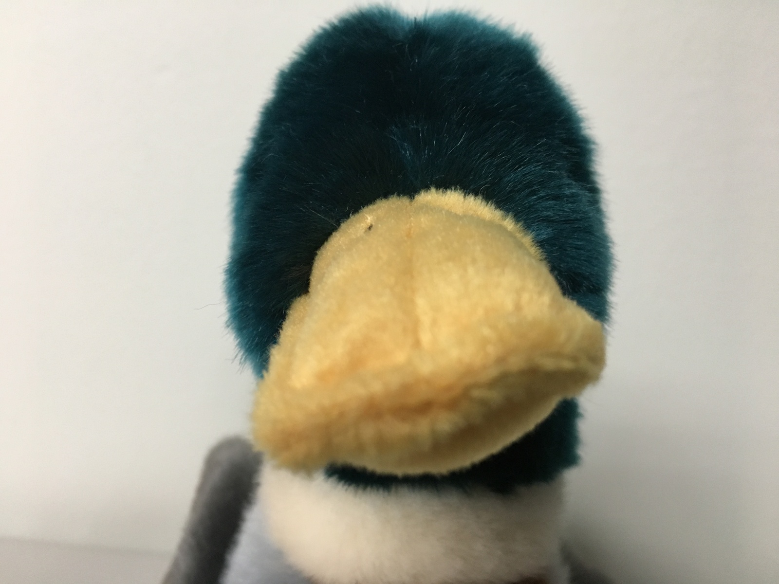 ty beanie babies mallard duck