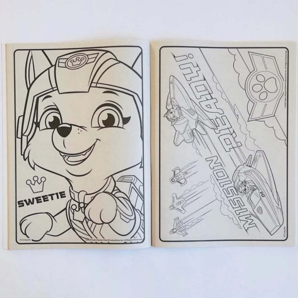 Crayola Nickelodeon Paw Patrol Jet to the Rescue Coloring Book Books
