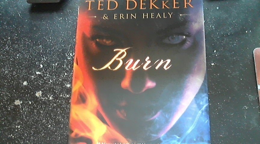 Primary image for Burn By Ted Dekker & Erin Healy (2010 Hardcover)