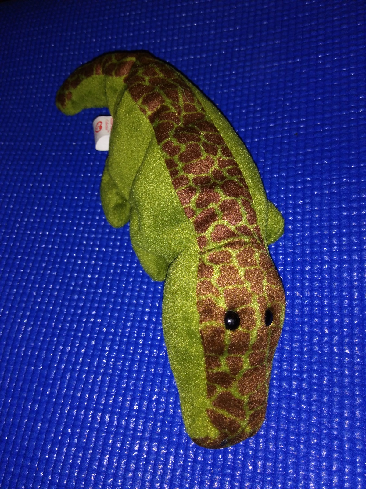 ally the alligator beanie baby