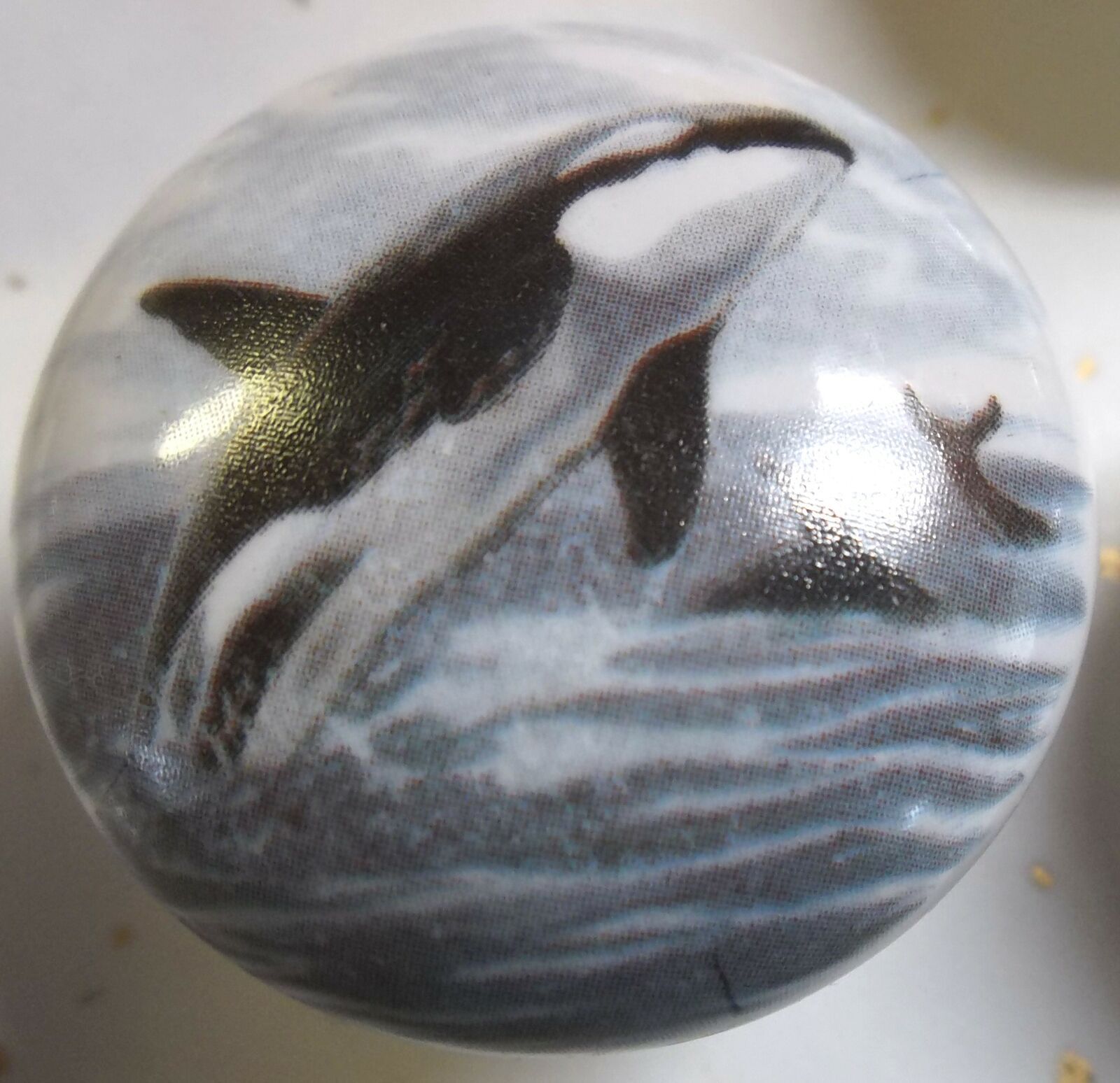 Cabinet Knobs w/ Whale Killer Orca Willie #1