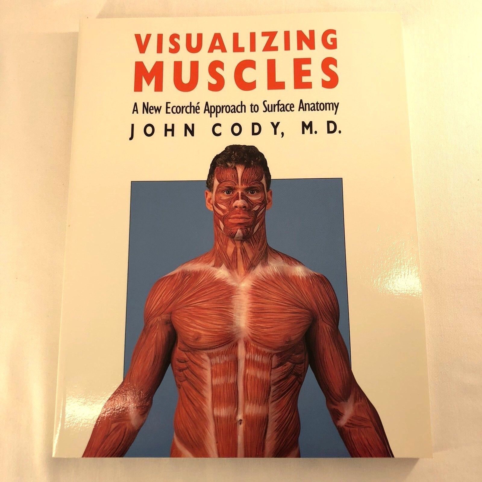 Visualizing Muscles A New Ecorche Approach To Surface