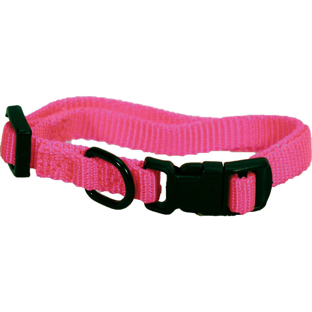 Hamilton Hot Pink Adjustable Dog Collar 3/8 X 712 In Leashes & Head