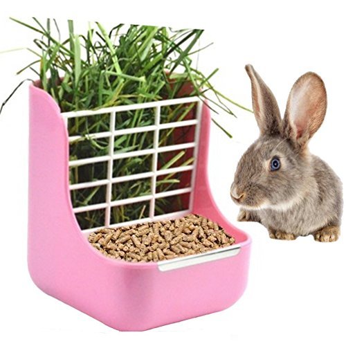 sxbest 2 in 1 Food Hay Feeder for Guinea Pig,Rabbit,Indoor Hay Feeder ...