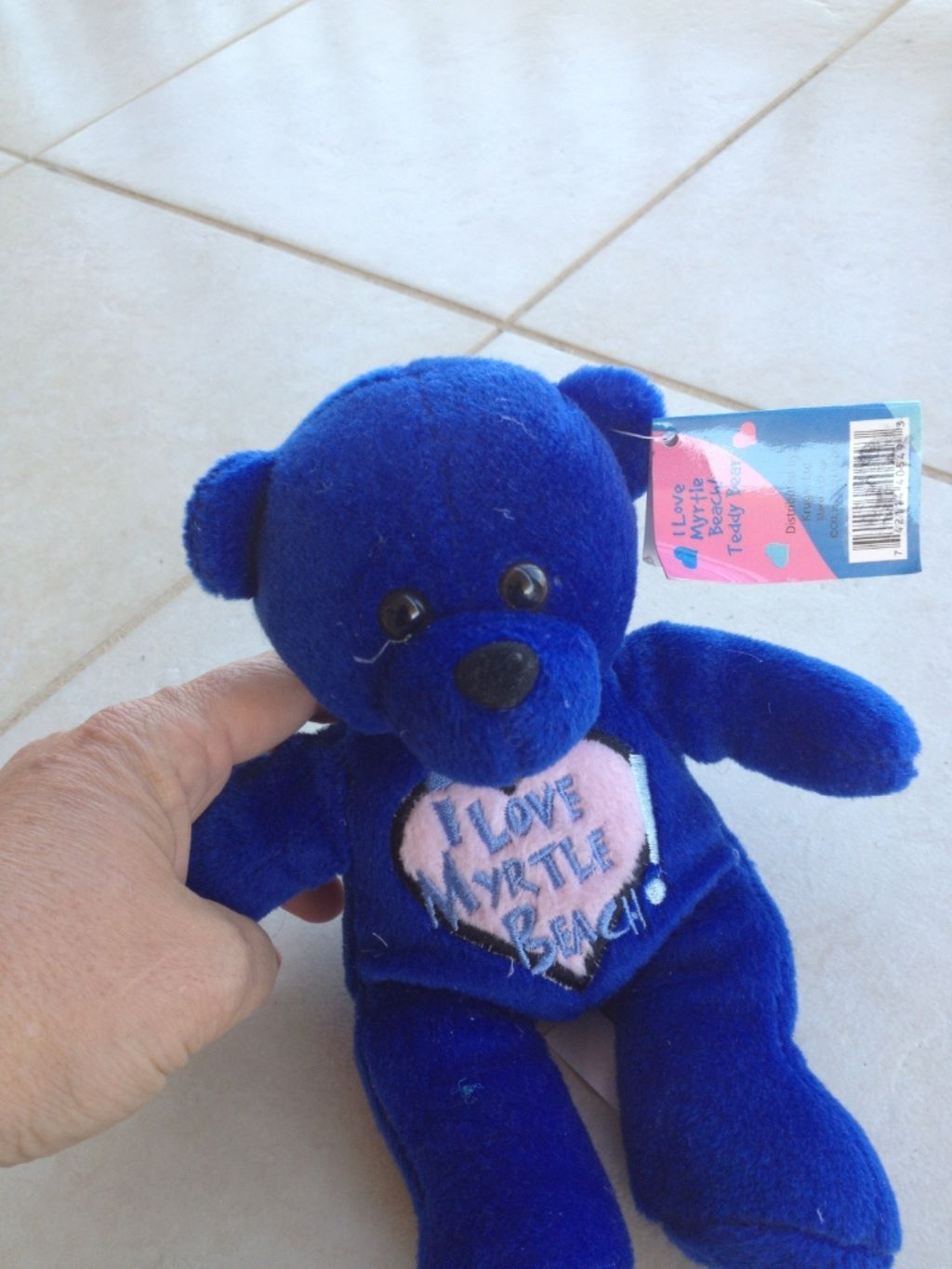 blue teddys