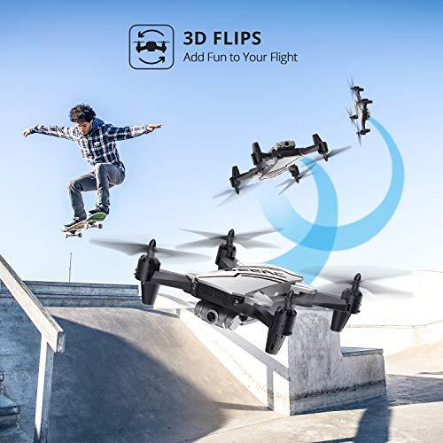 d20 mini drone