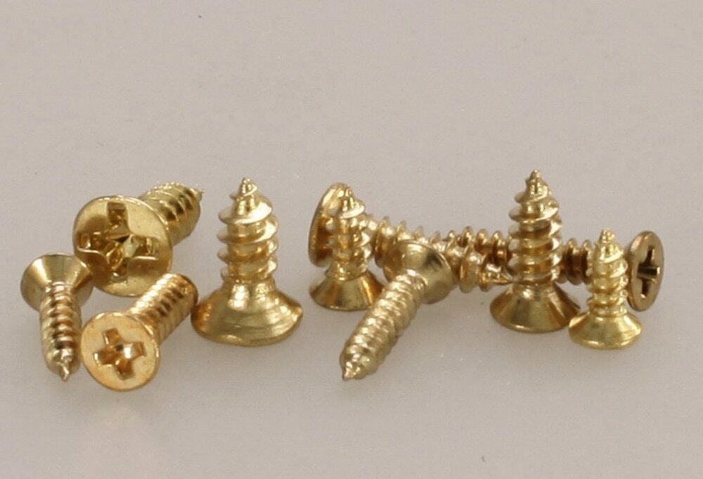 New 500 Piece Brass Plated Wood Screw Assortment Self-tapping Small ...