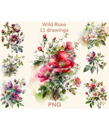 Wild Rose Watercolor clipart png, Rose digital print, illustration set, ... - $3.12