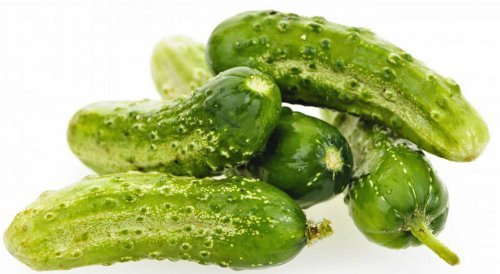 Cucumber, Boston Pickling, Heirloom, Organic 100 Seeds, Great for Pickling