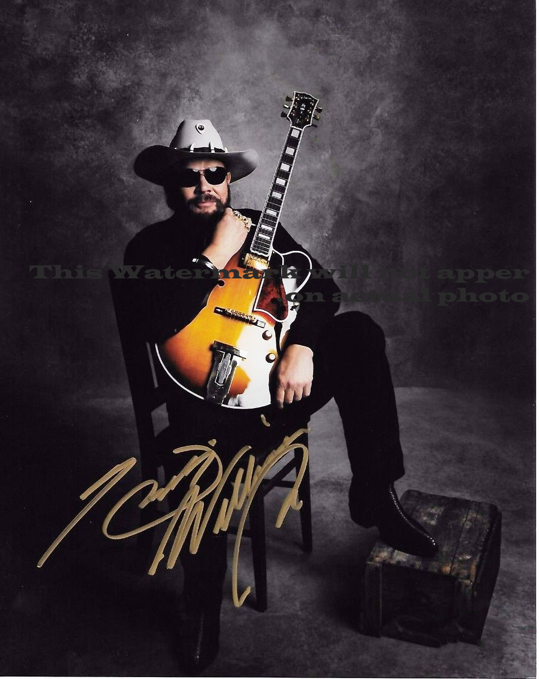 Hank Williams Jr. Signed Autographed 8x10 and similar items