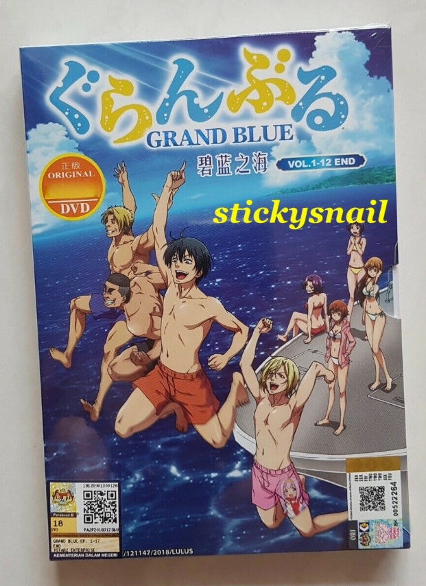 Anime DVD Grand Blue Vol. 1-12 End GOOD ENG SUB All Region FAST SHIPPING