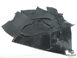 PELGIO Real Genuine Polished Stingray Skin Leather Hide Pelt Scraps 100 ... - $16.26
