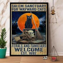 Black Cat Skull Salem Sanctuary For Wayward Cat Ferals And Familars Canvas And P - $49.99