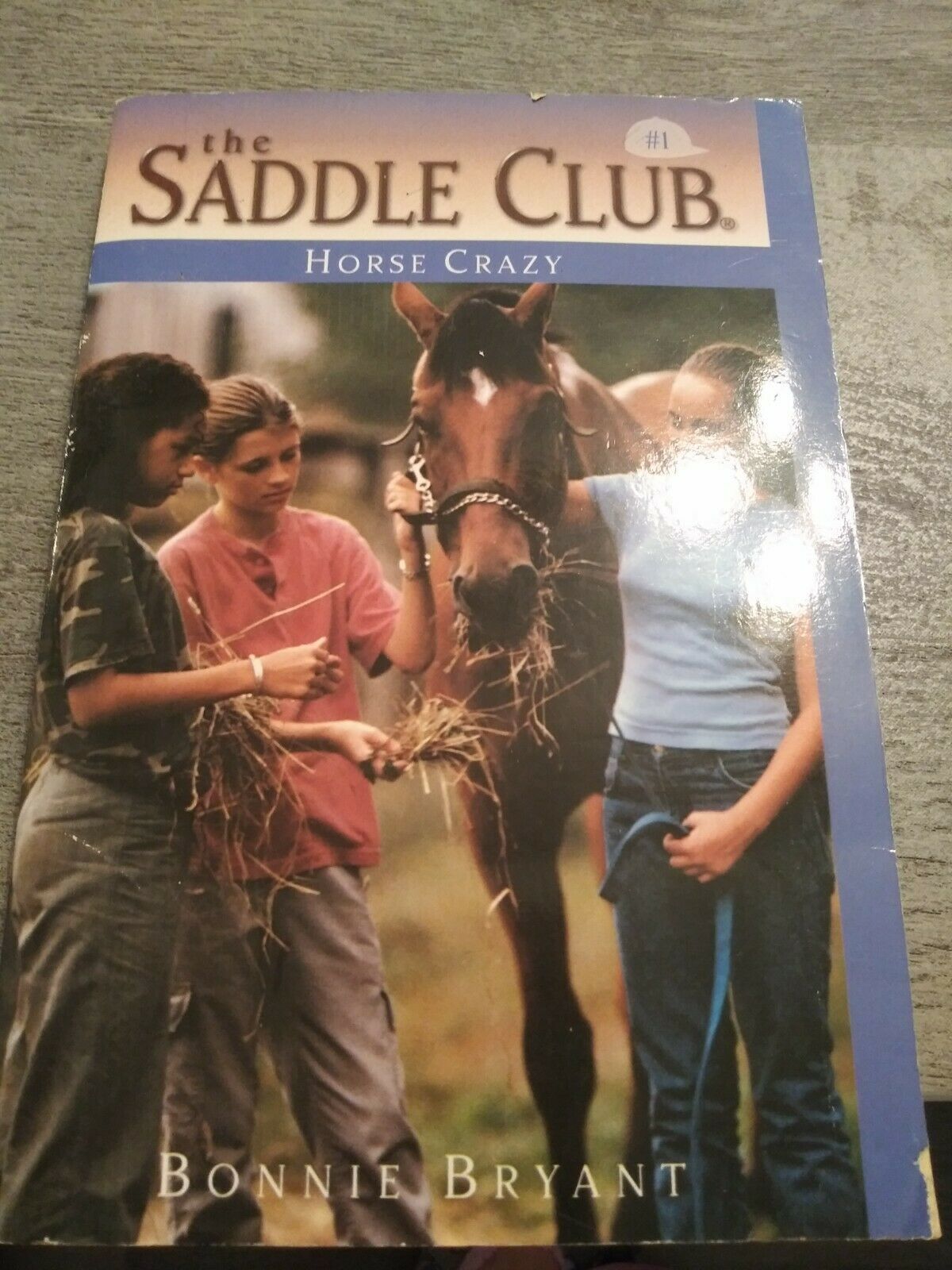 The Saddle Club Horse Crazy By Bonnie Bryant PB Book Everything Else