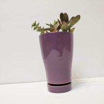Succulent Arrangement in Purple Ceramic Planter, Houseplant, Flower Plant Pot image 5