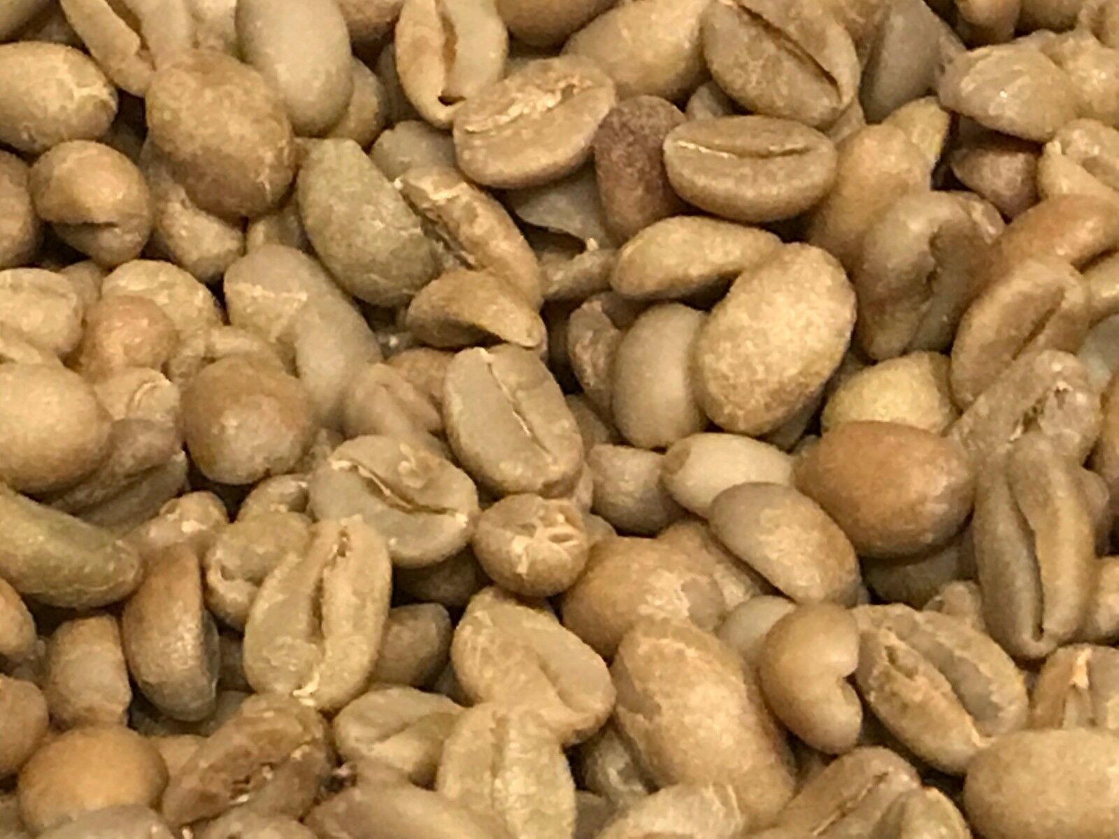 green coffee beans ethiopia limu natural Process ...